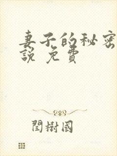 妻子的秘密 小说 免费