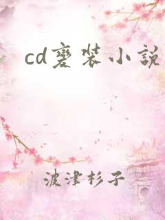 cd变装小说