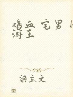 鸡血 宅男 网游王