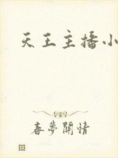 天王主播小说