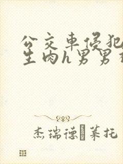 公交车侵犯小男生肉h男男视频