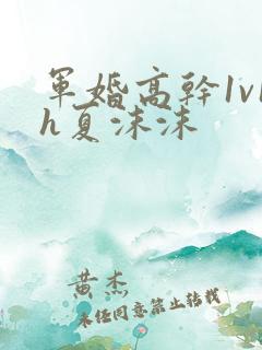 军婚高干1v1h夏沫沫
