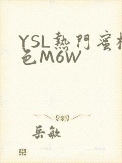 YSL热门蜜桃色M6W