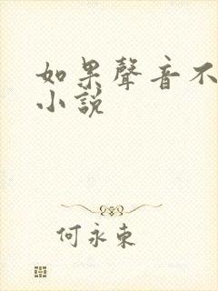 如果声音不记得小说