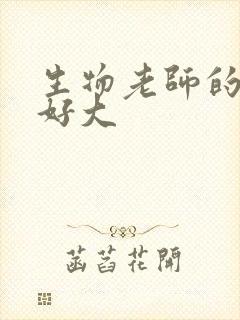 生物老师的兔子好大