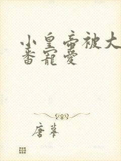 小皇帝被大臣轮番宠爱