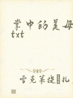 掌中的美母版主txt