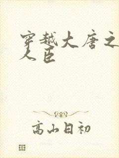 穿越大唐之位极人臣