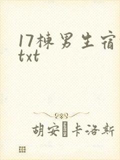 17栋男生宿舍txt