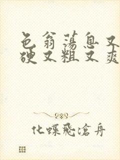 色翁荡息又大又硬又粗又爽