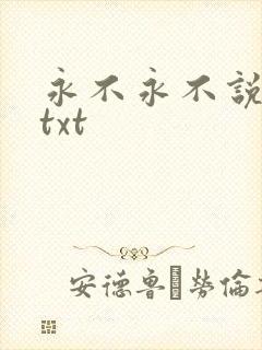 永不永不说再见txt