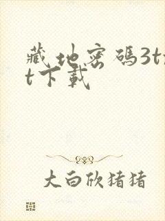 藏地密码3txt下载