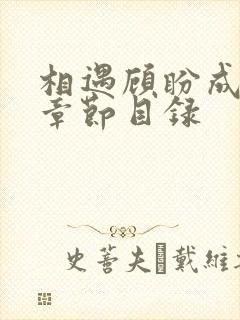 相遇顾盼成欢全章节目录