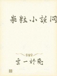 米粒小说网