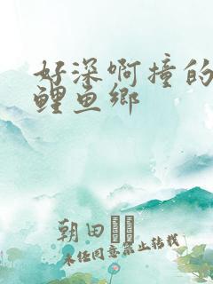 好深啊撞的好吗鲤鱼乡