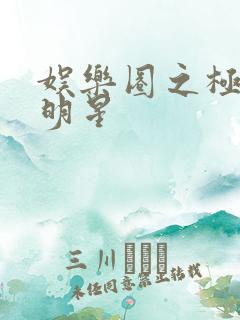 娱乐圈之极品大明星