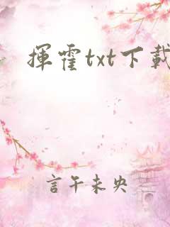 挥霍txt下载