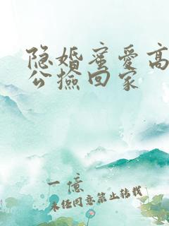 隐婚蜜爱高冷老公捡回家