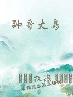 帅哥大鸟