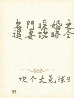 名门暖婚之权爷追妻攻略全文免费阅读