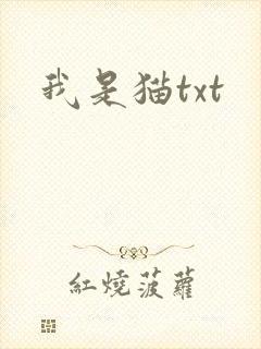 我是猫txt