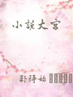 小说大宫