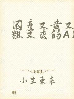 国产又黄又猛又粗又爽的A片小说