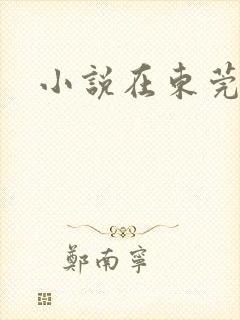小说在东莞