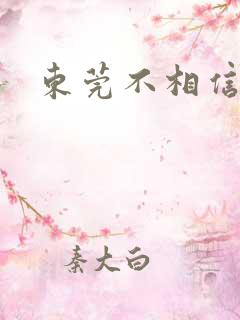 东莞不相信眼泪