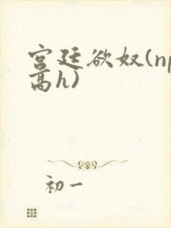 宫廷欲奴(np高h)
