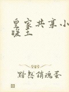 皇家共享小公主暖玉