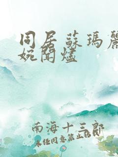 同居 苏玛丽蒋婉闻烬