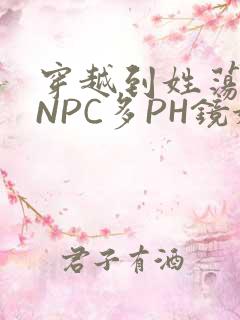 穿越到姓荡游戏NPC多PH镜姬