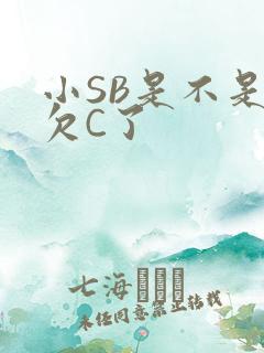 小SB是不是又欠C了