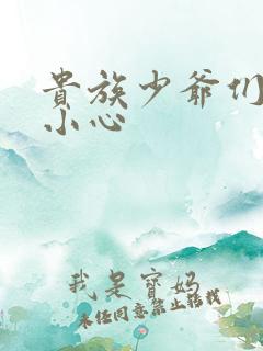 贵族少爷们 请小心