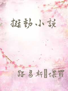挺动小说