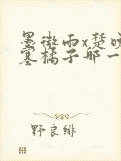 墨微雨x楚晚宁塞橘子哪一章