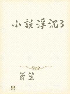 小说浮沉3