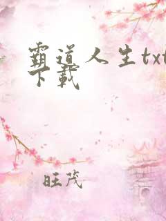 霸道人生txt下载