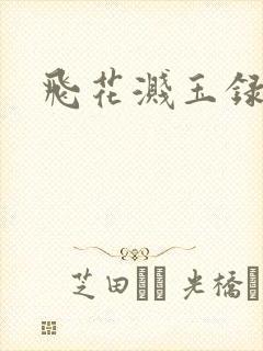 飞花溅玉录