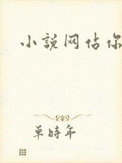 小说网站你懂的