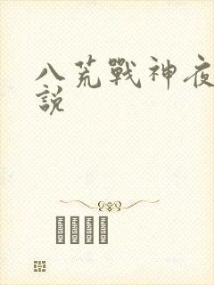 八荒战神夜麟小说