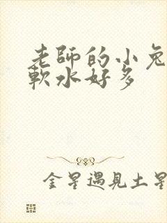 老师的小兔子好软水好多
