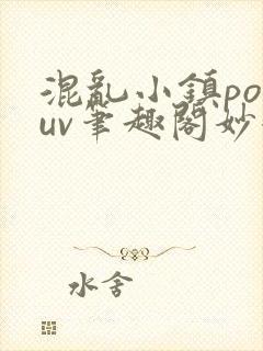 混乱小镇popuv笔趣阁妙妙