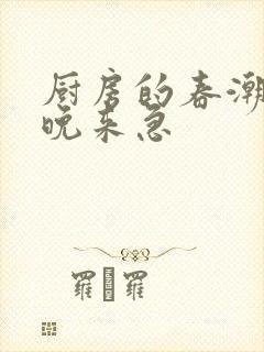 厨房的春潮带雨晚来急