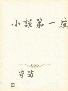 小说第一庶女