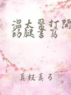 温太医打开眉庄的腿书写