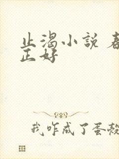 止渴小说 春光正好