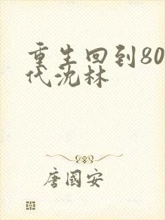 重生回到80年代沈林