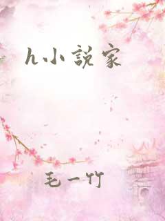 h小说家